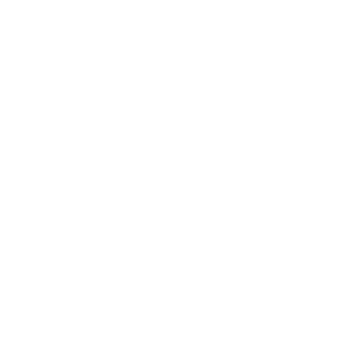 original art by anise leader, logo,
