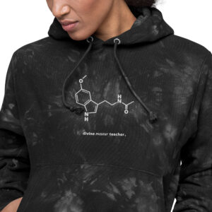 DMT Champion Hoodie (Unisex)