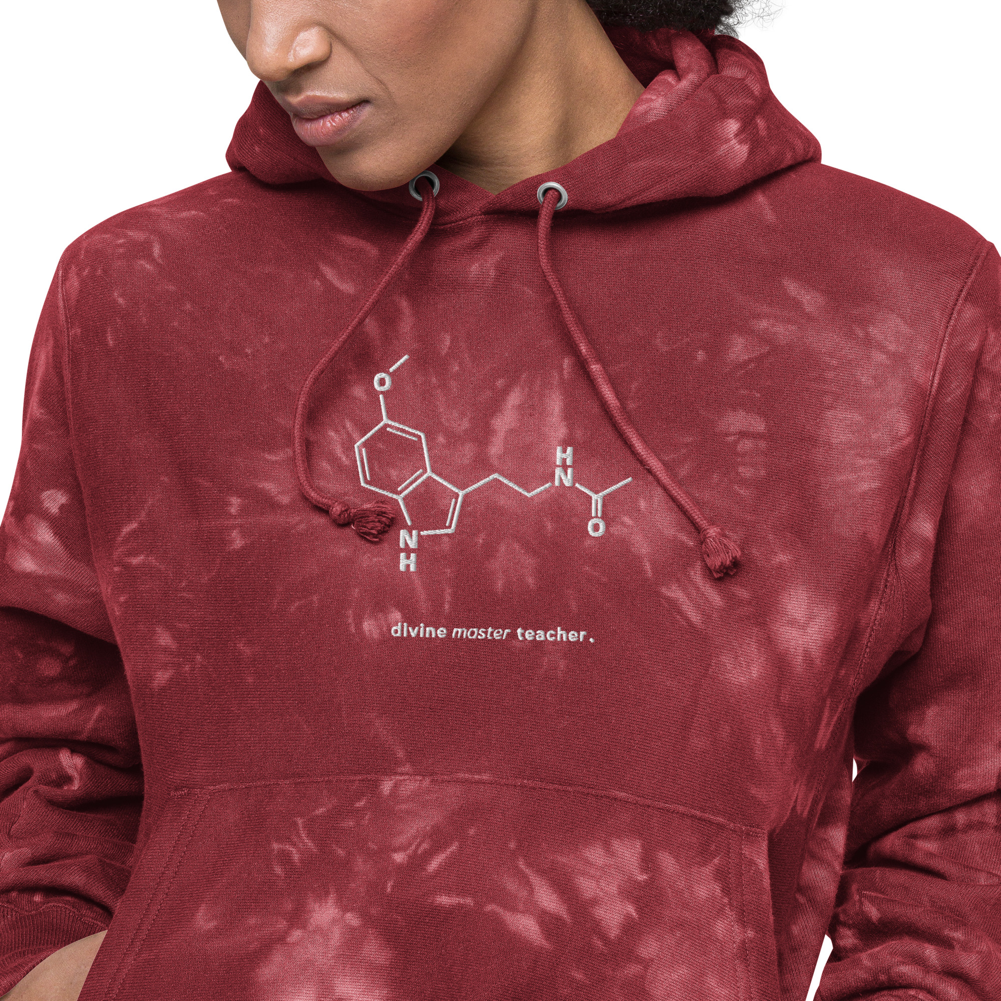 DMT Champion Hoodie (Unisex) - Image 5