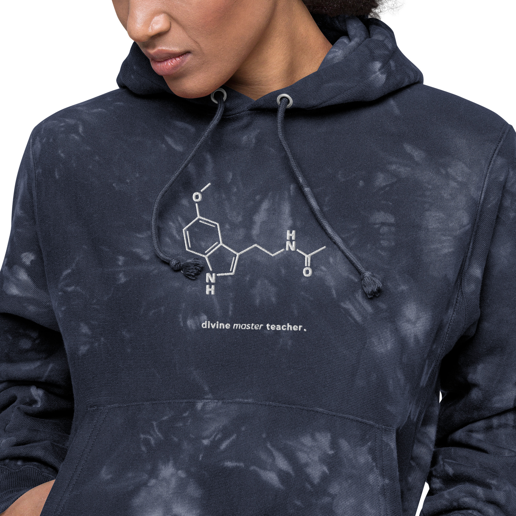DMT Champion Hoodie (Unisex) - Image 9