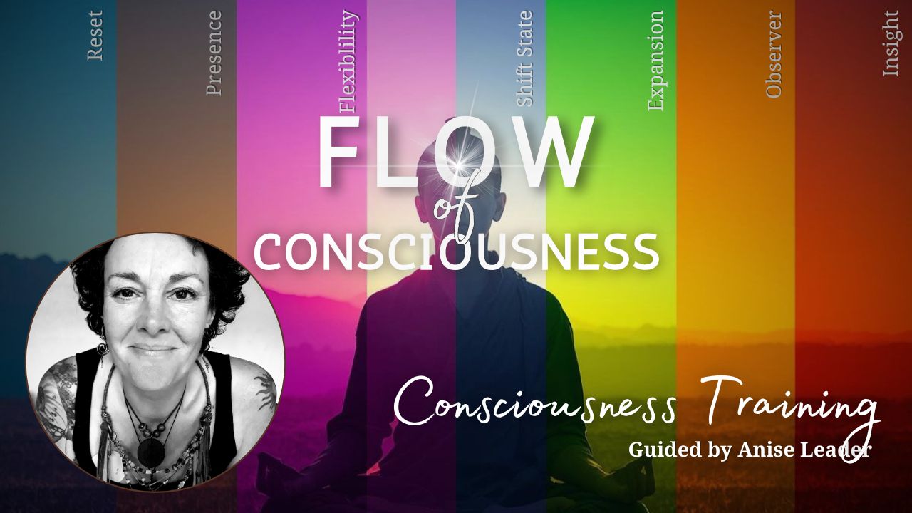 Consciousness Training