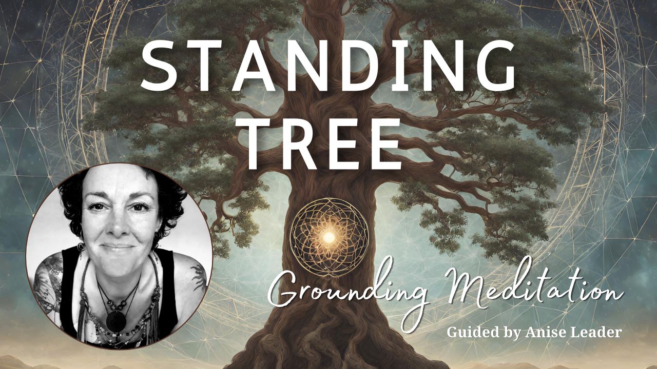 Curated Meditations